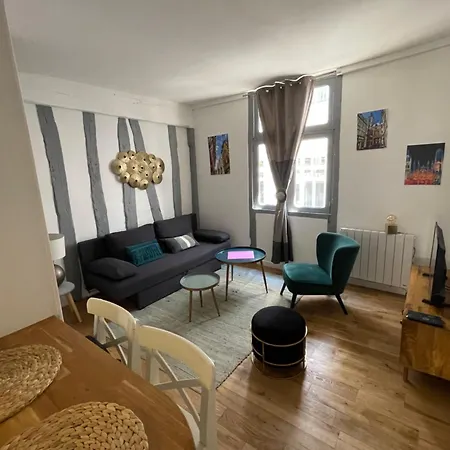 Appartement Charmant T1 Avec Parking En Option