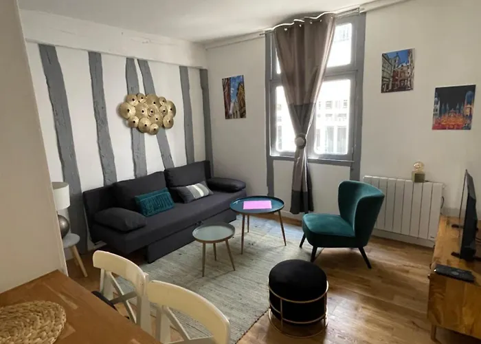 Appartement Charmant T1 Avec Parking En Option