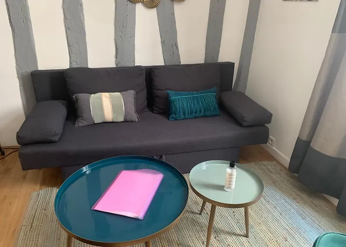 Charmant T1 Avec Parking En Option *